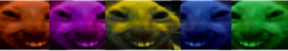 xddCouncil emote