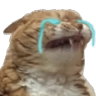 AUGH emote