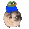 pugSit emote