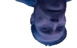 LookDown emote