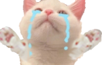 NOOOO emote