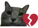 SCANNOR emote