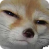 SUS emote
