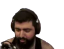 furryNOOOO emote