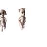 Perritos emote