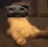 xddkok emote