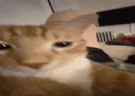 ruh emote