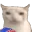 catMunch