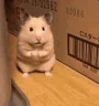 Uhh emote