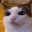 Emote