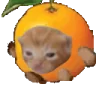 orangeRobertRun emote