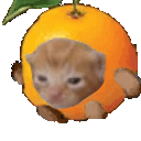 orangeRobertRun