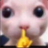 tss emote