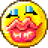 ДАШУЛЬКА emote