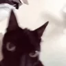Sexo emote