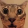 cuh emote