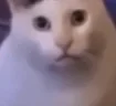 wha emote