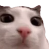 plinkerton emote
