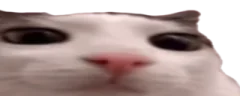 plinkerton emote
