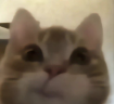 mmmm emote
