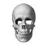 AINTNOWAYBRUH emote