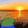 Life emote