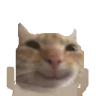 SmileHappie emote