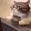 CatNerd