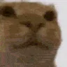 AwkwardOverload emote