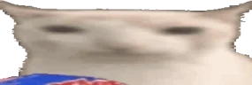 WideVeryCat emote