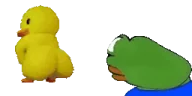 Duckasslooking emote