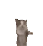 YIPPIE emote