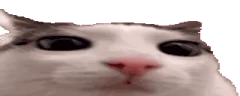 plink emote
