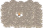 catsittingverycomfortablearoundacampfireomgtherearesomanyofthem emote