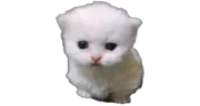 mitosis emote