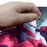 PETTHELYLRIS emote