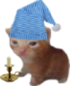 RobertHonkShoo emote