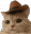 howdy