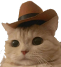howdy emote
