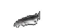 JoelPanic emote