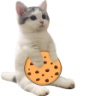 vokuda emote