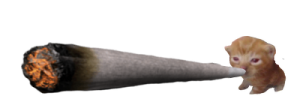 zazabert emote