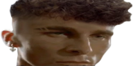 skibidi emote
