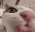 mlemies