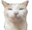 Serious emote