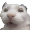 Hugh emote