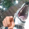 LOSER emote