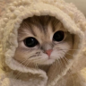 cozy emote
