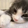 waiting emote