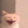 AJAJAJA emote